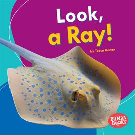 Cover image for Look, a Ray!