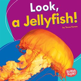 Cover image for Look, a Jellyfish!