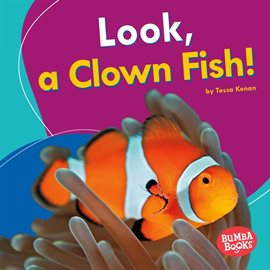 Cover image for Look, a Clown Fish!