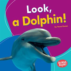 Imagen de portada para Look, a Dolphin!