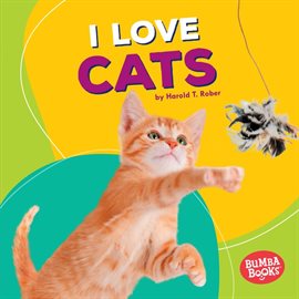 Cover image for I Love Cats