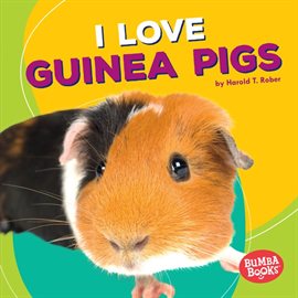 Cover image for I Love Guinea Pigs