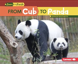 Cover image for From Cub to Panda
