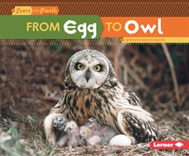 Cover image for From Egg to Owl