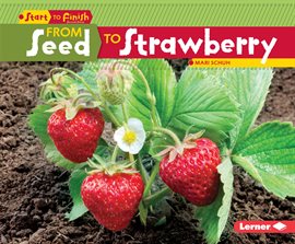 Cover image for From Seed to Strawberry