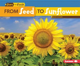 Cover image for From Seed to Sunflower