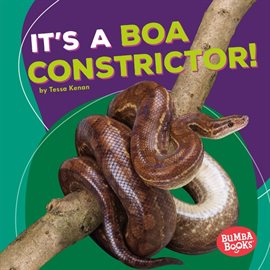 Imagen de portada para It's a Boa Constrictor!