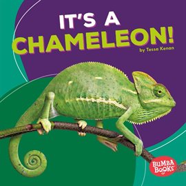 Imagen de portada para It's a Chameleon!