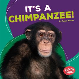 Imagen de portada para It's a Chimpanzee!