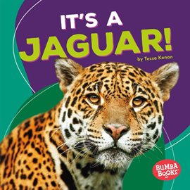 Imagen de portada para It's a Jaguar!