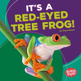 Cover image for It's a Red-Eyed Tree Frog!