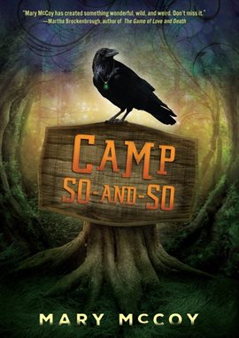 Cover image for Camp So-and-So