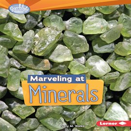 Cover image for Marveling at Minerals