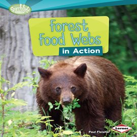 Cover image for Forest Food Webs in Action