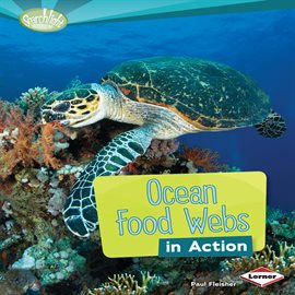 Cover image for Ocean Food Webs in Action