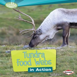 Imagen de portada para Tundra Food Webs in Action