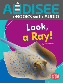 Imagen de portada para Look, a Ray!