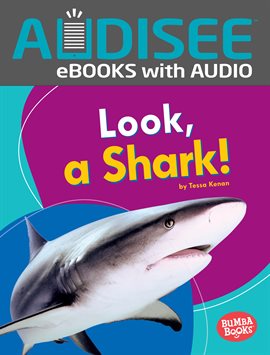 Miami Shark : N/A : Free Download, Borrow, and Streaming