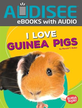 Cover image for I Love Guinea Pigs
