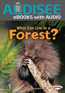 Cover image for What Can Live in a Forest?