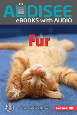 Cover image for Fur