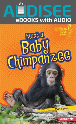 Cover image for Meet a Baby Chimpanzee