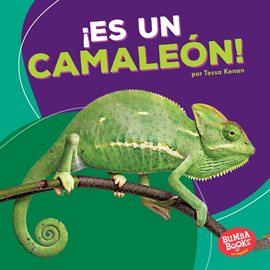 Cover image for ¡Es un camaleón! (It's a Chameleon!)