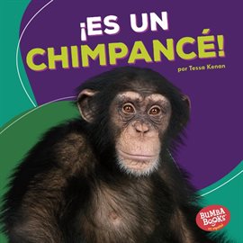 Imagen de portada para ¡Es un chimpancé! (It's a Chimpanzee!)