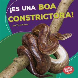 Cover image for ¡Es una boa constrictora! (It's a Boa Constrictor!)