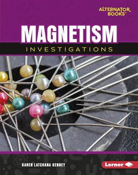 Cover image for Magnetism Investigations