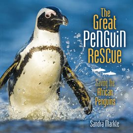 Cover image for The Great Penguin Rescue