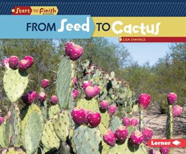 Cover image for From Seed to Cactus