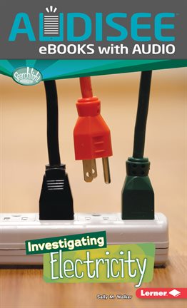Cover image for Investigating Electricity