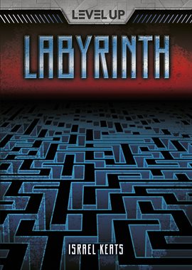 Cover image for Labyrinth