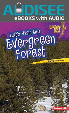 Cover image for Let's Visit the Evergreen Forest