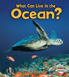 Cover image for What Can Live in the Ocean?