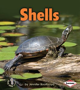 Cover image for Shells