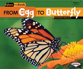 Cover image for From Egg to Butterfly