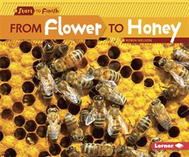 Cover image for From Flower to Honey