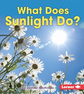 Cover image for What Does Sunlight Do?