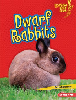 Cover image for Dwarf Rabbits