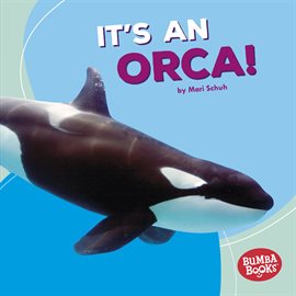 Cover image for It's an Orca!