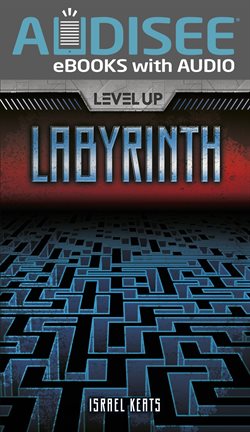 Cover image for Labyrinth