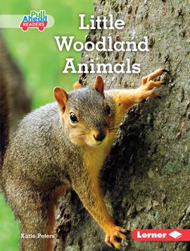 Cover image for Little Woodland Animals