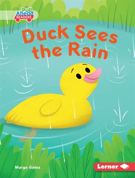 Cover image for Duck Sees the Rain