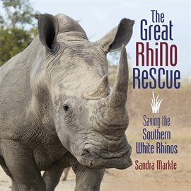 Cover image for The Great Rhino Rescue
