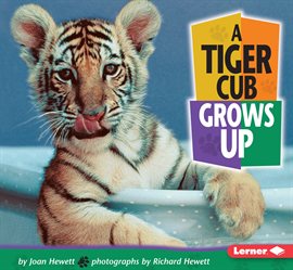 Cover image for A Tiger Cub Grows Up