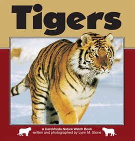 Imagen de portada para Tigers