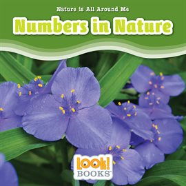 Cover image for Numbers in Nature