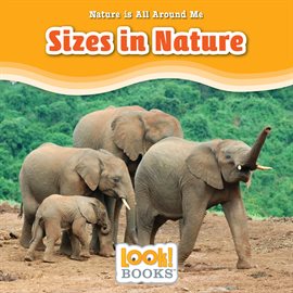 Cover image for Sizes in Nature